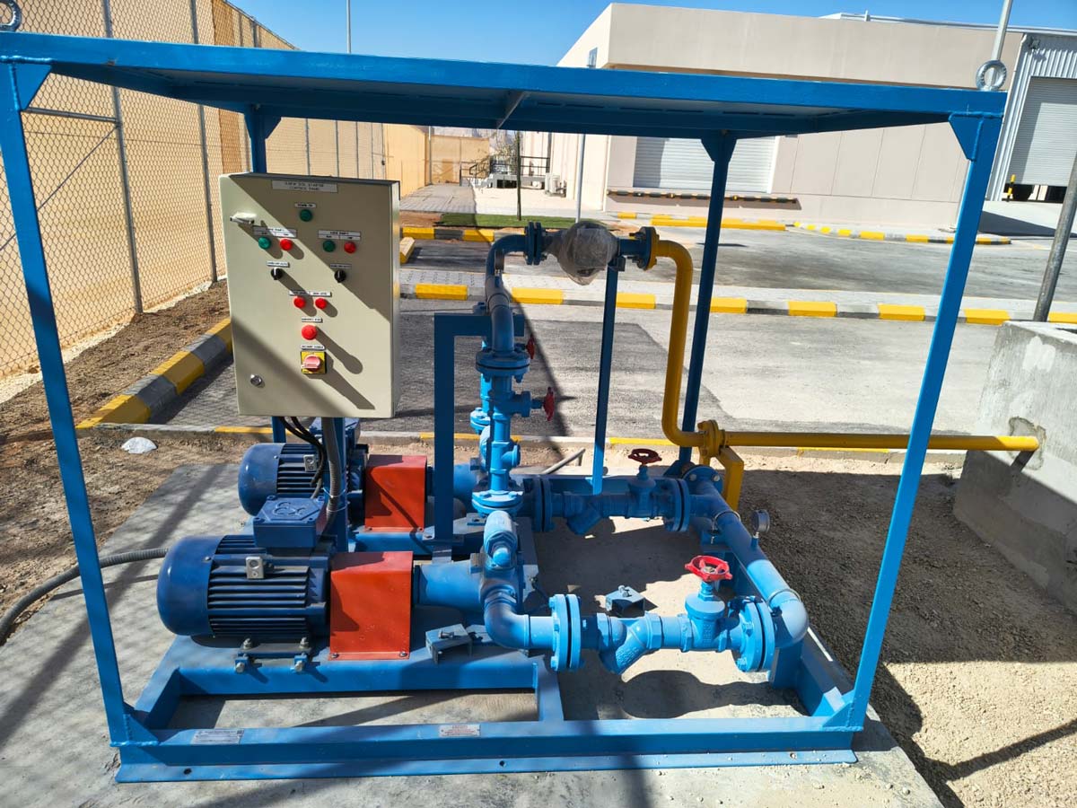 Duplex Fuel Transfer Pump Skids